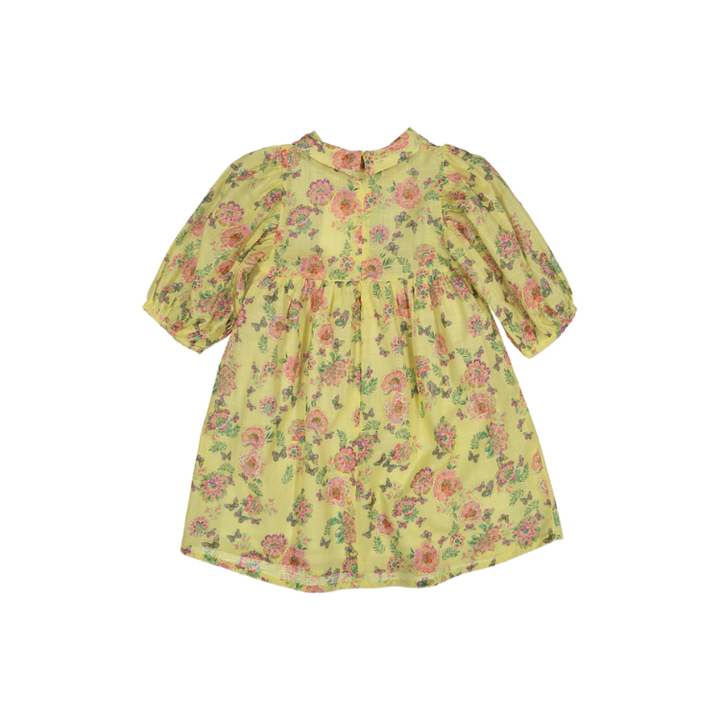 SOPHIA DRESS 3/4 SLV-Spring Meadow