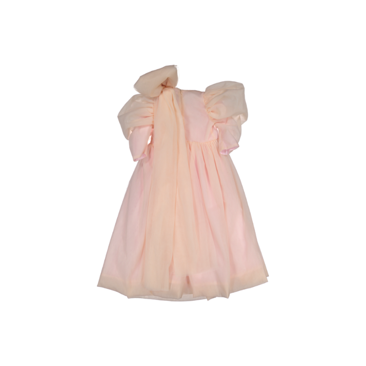 AW23-42-DIANA MAXI DRESS-Pink Tulle