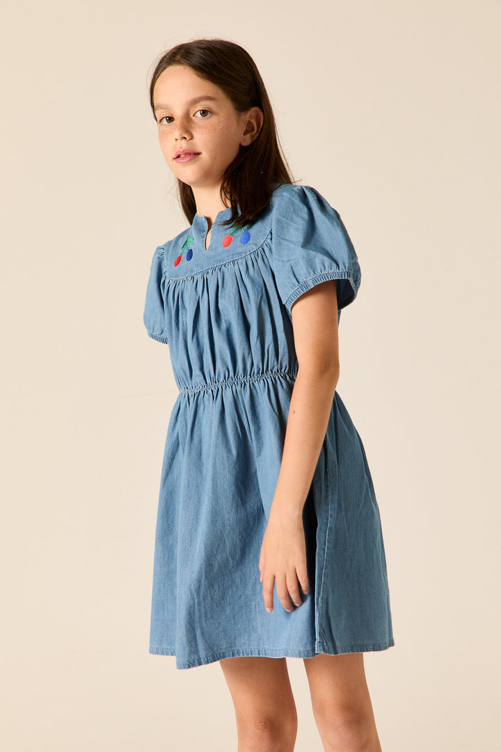 A26102L FREYA DRESS - WASHED INDIGO
