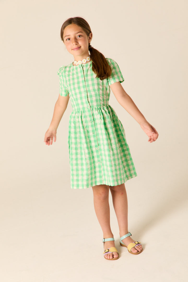A26104L ELSPETH DRESS - JADE GINGHAM