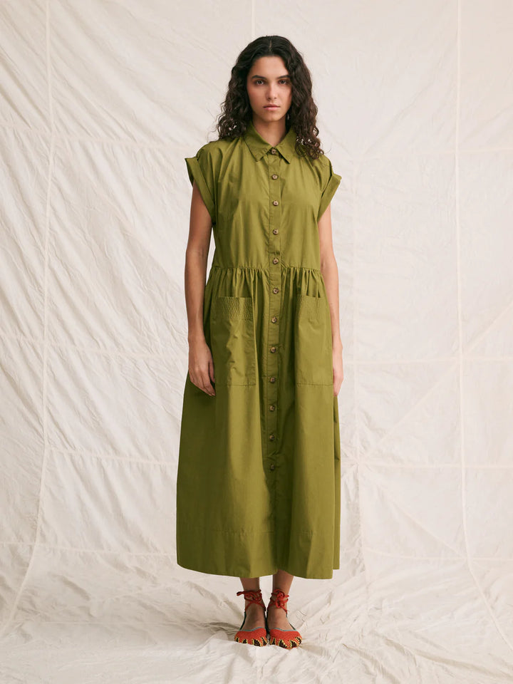 WAREN-Olive