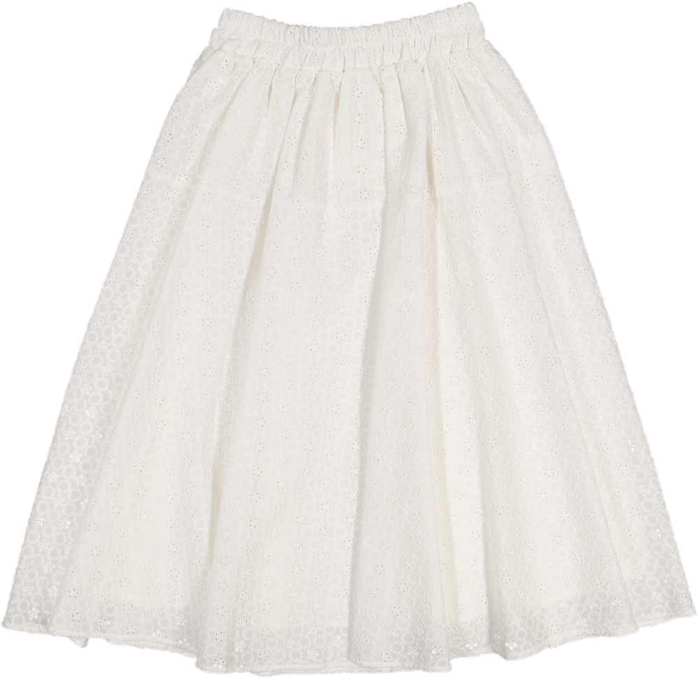 35204 SKIRT-Emb