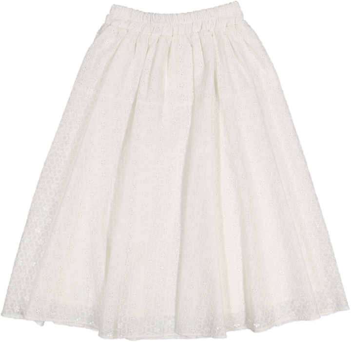 35204 SKIRT-Emb