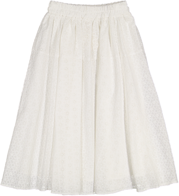 35204 SKIRT-Emb