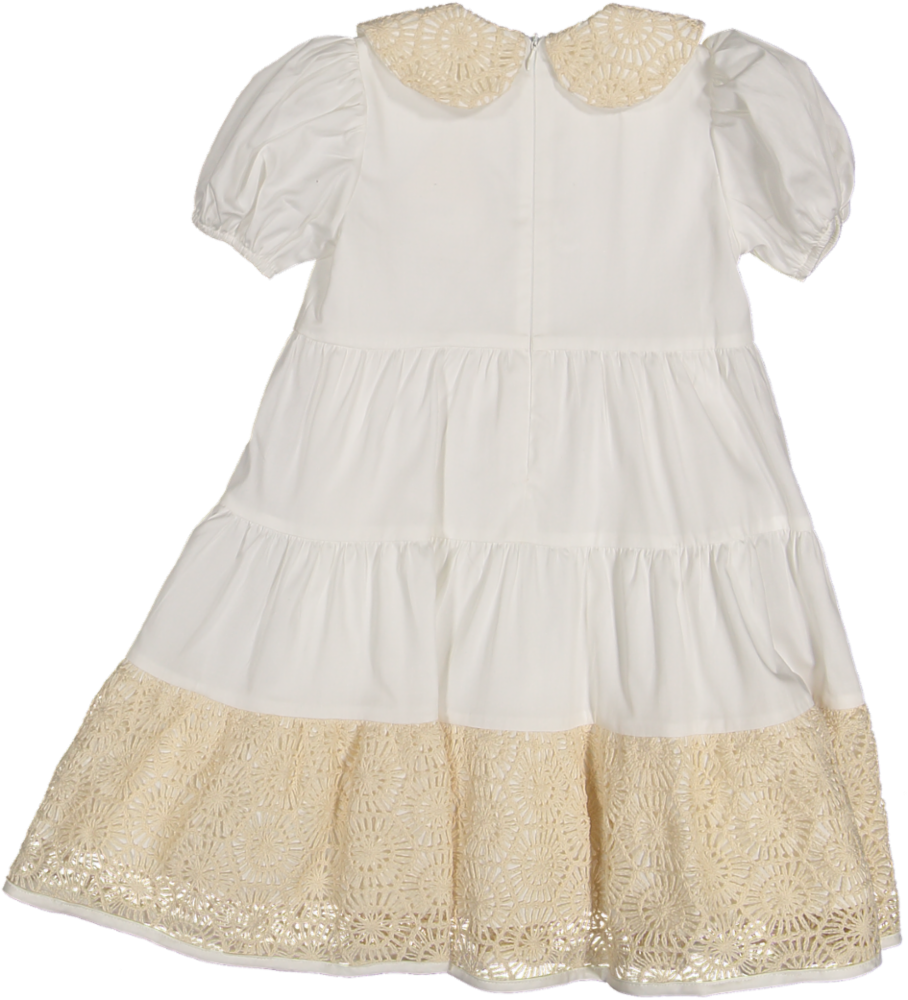 37112 DRESS S/ SLV - CTN ST 7 -CRT 1