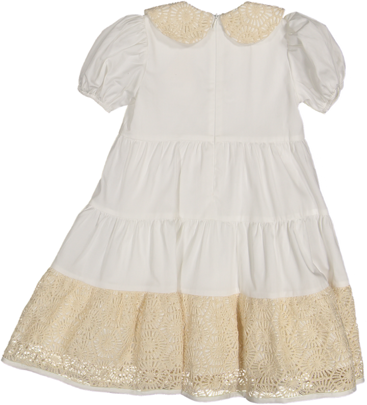 37112 DRESS S/ SLV - CTN ST 7 -CRT 1