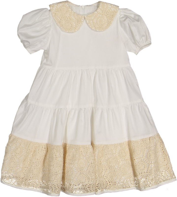 37112 DRESS S/ SLV - CTN ST 7 -CRT 1