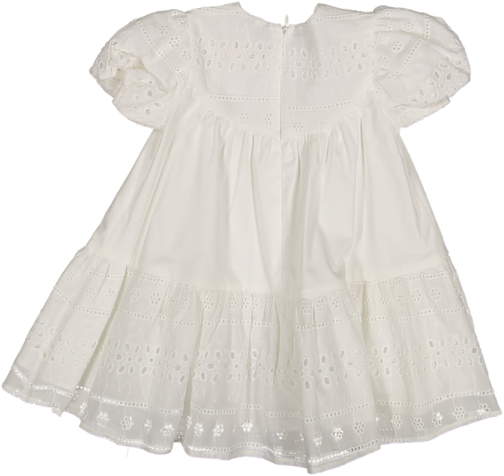 37119 DRESS S/SLV - LACE 4 POPLIN 3