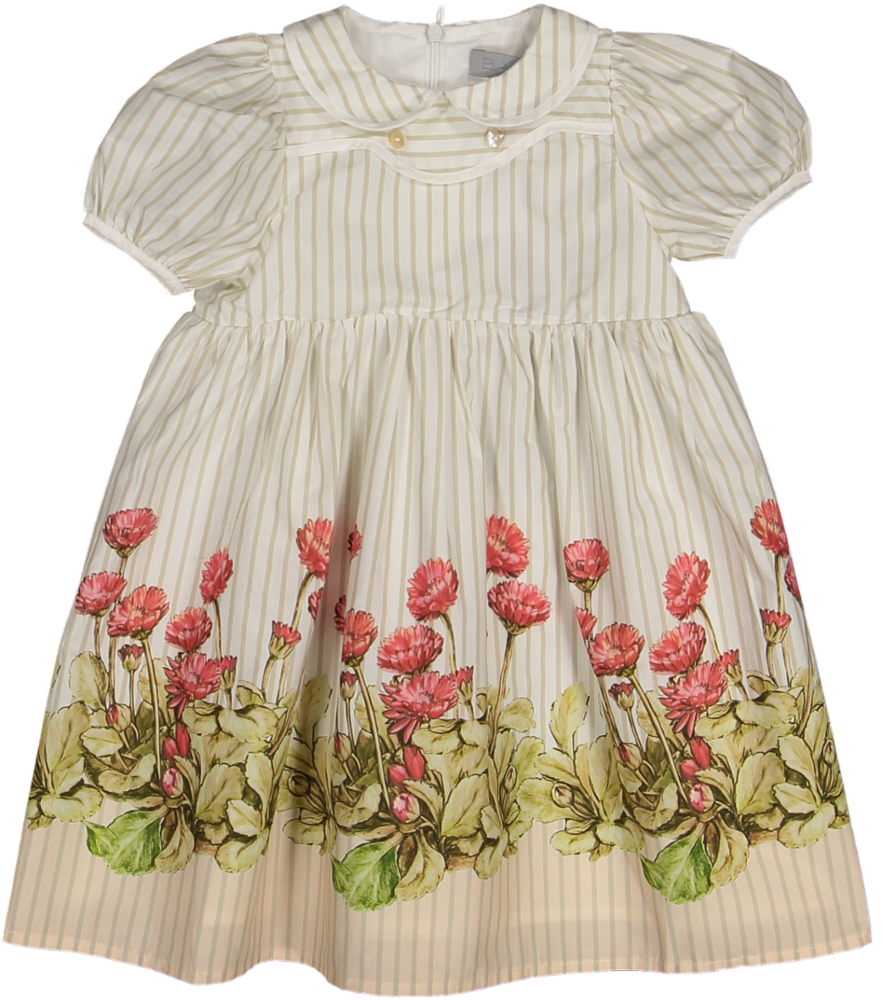 C-26112-Striped Floral Puff Sleeve Collar Dress-White/Tan