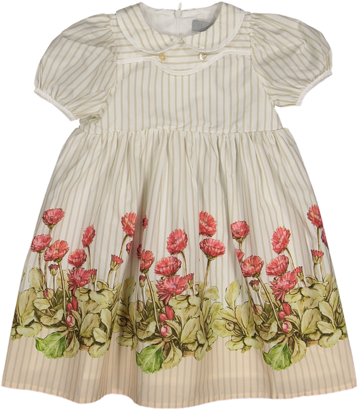 C-26112-Striped Floral Puff Sleeve Collar Dress-White/Tan