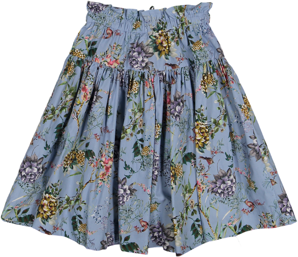 S25-Skirt No. 2231-123