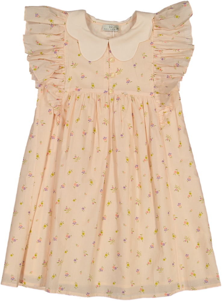 Clothilde Dress-Tiny Flowers Printed Cotton Cambric
