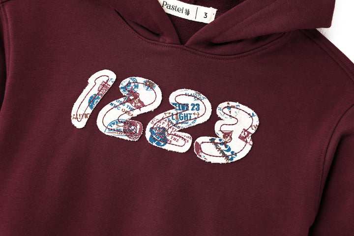 1223 HOODED SET-BURGUNDY