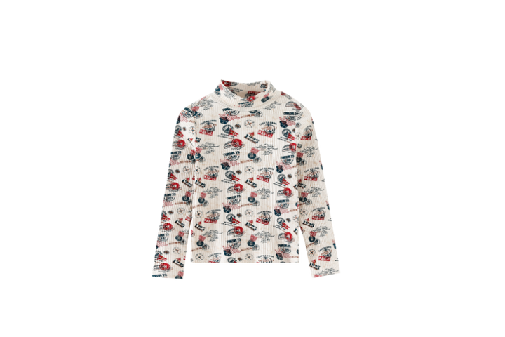 VOYAGE PRINTED TURTLENECK-STONE MULTI