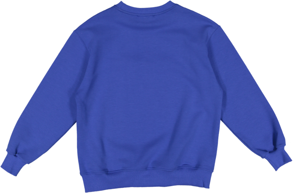 JBSW224-BOYS INTERLOCK SWEATSHIRT-ROYAL