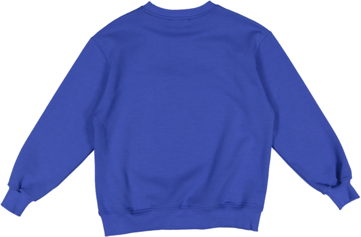 JBSW224-BOYS INTERLOCK SWEATSHIRT-ROYAL
