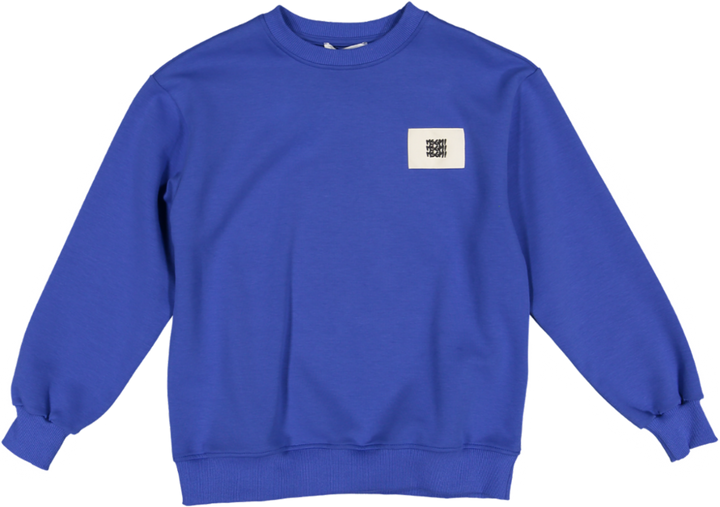 JBSW224-BOYS INTERLOCK SWEATSHIRT-ROYAL