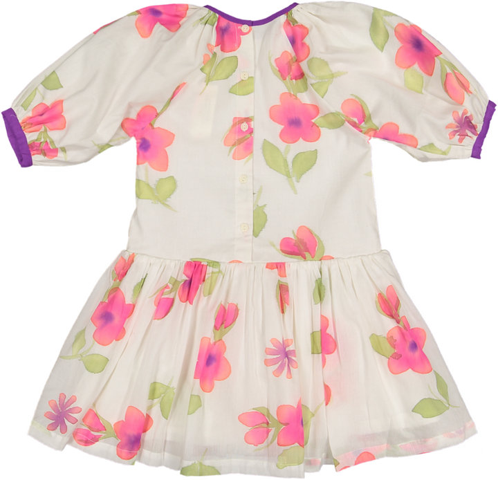 LENA 3/4 SLEEVE DRESS-TROPICAL PRINT