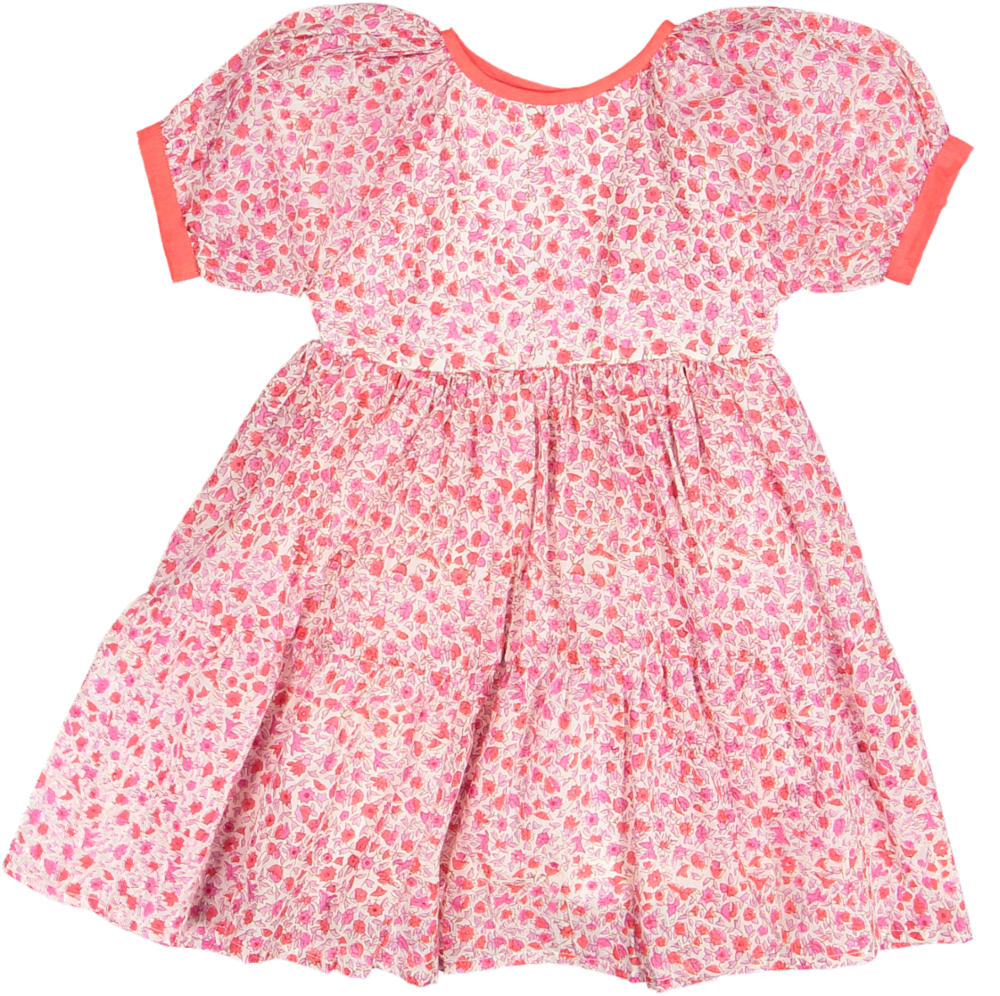 ROSELYN SHORT SLV DRESS