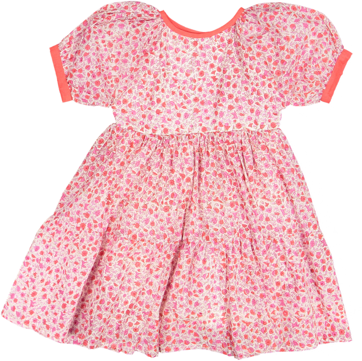 ROSELYN SHORT SLV DRESS