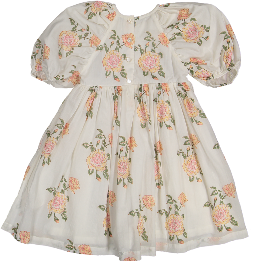 Amara 3/4 Sleeve DRESS-Rosa