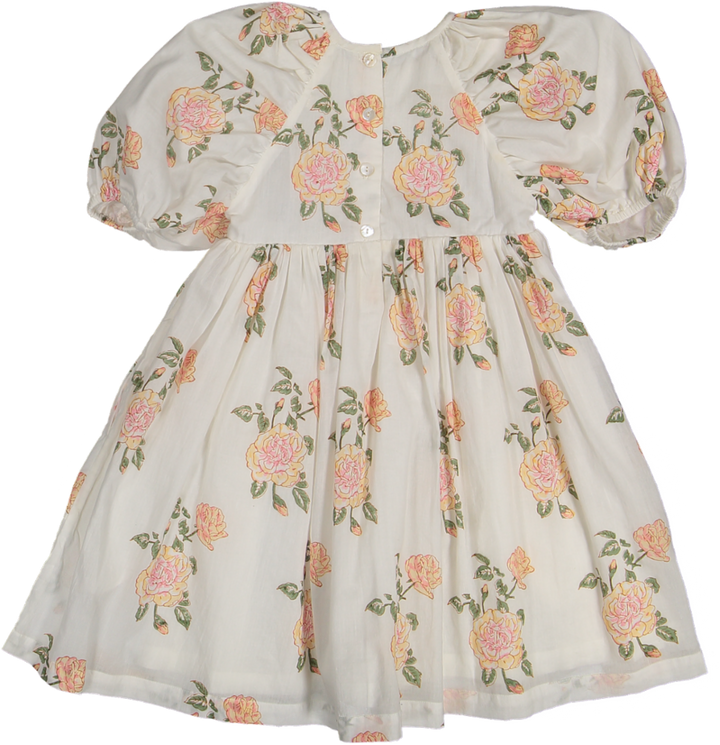 Amara 3/4 Sleeve DRESS-Rosa