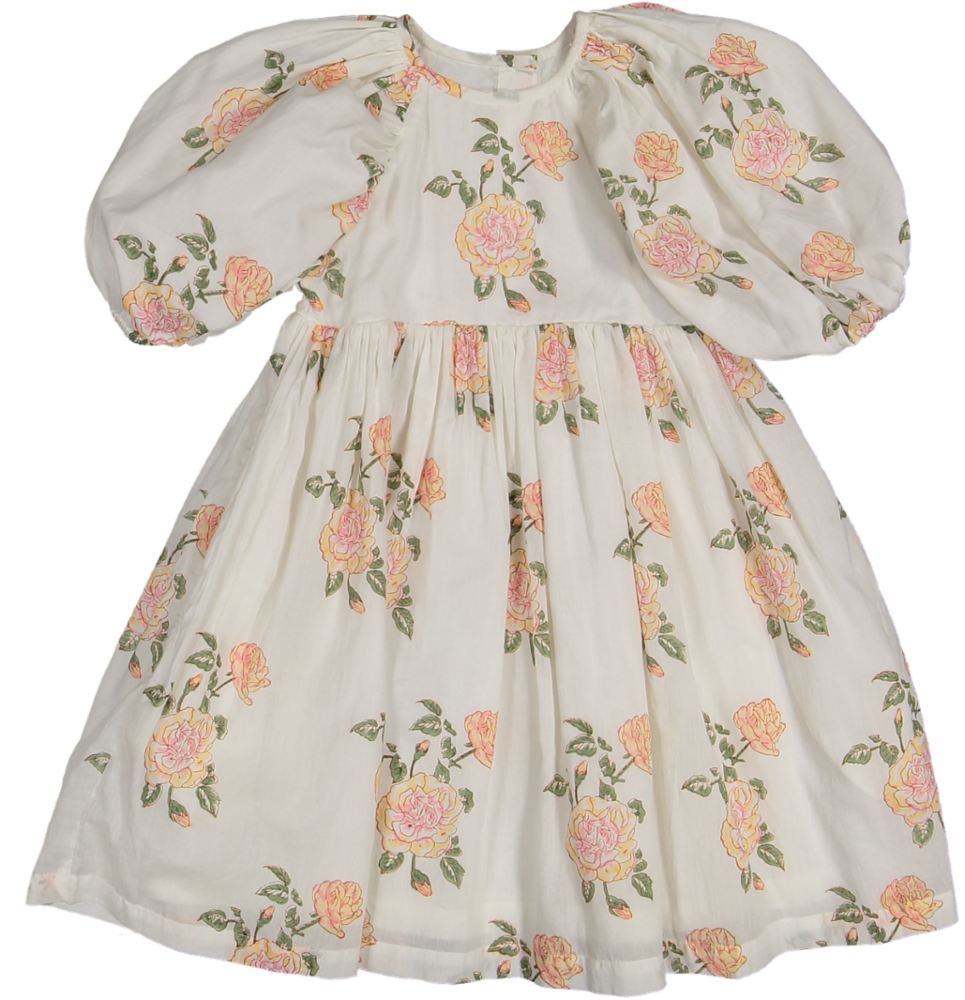 Amara 3/4 Sleeve DRESS-Rosa