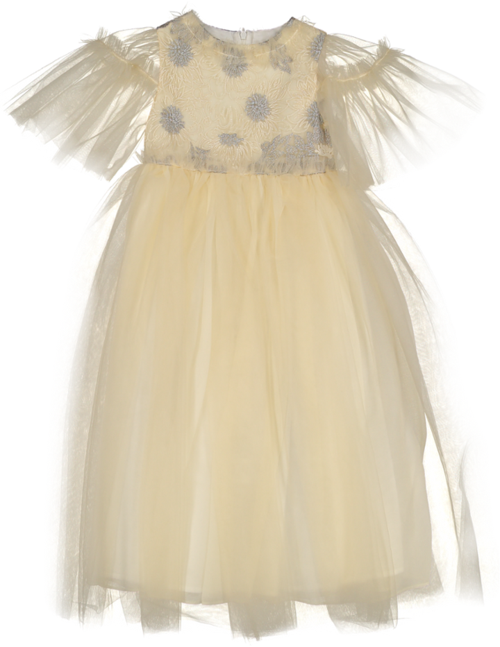 PAP/VET4133918-GOLD/CHAMPAGNE