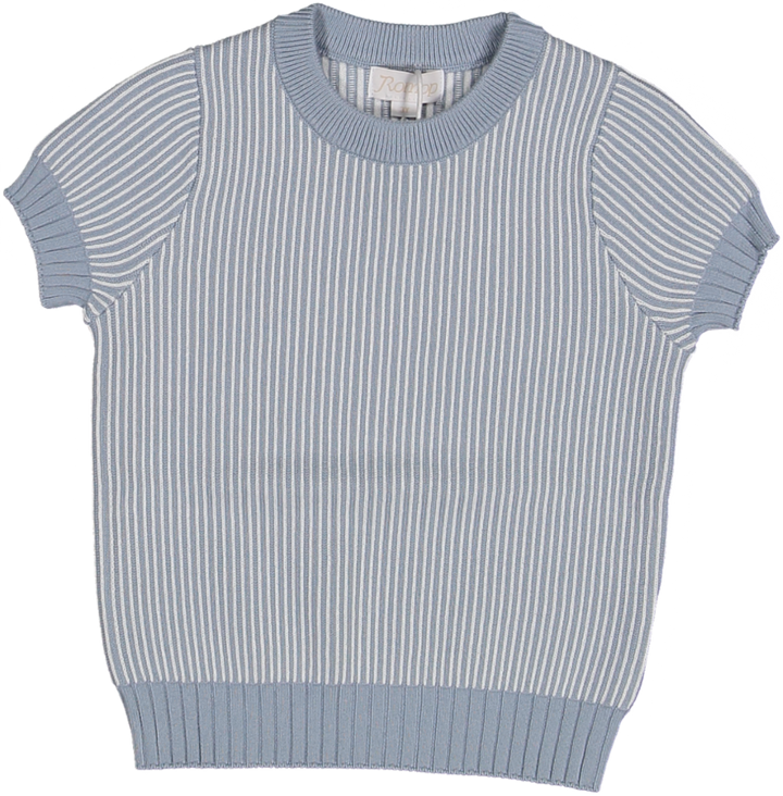 Jacquard striped knit short sleeve sweater