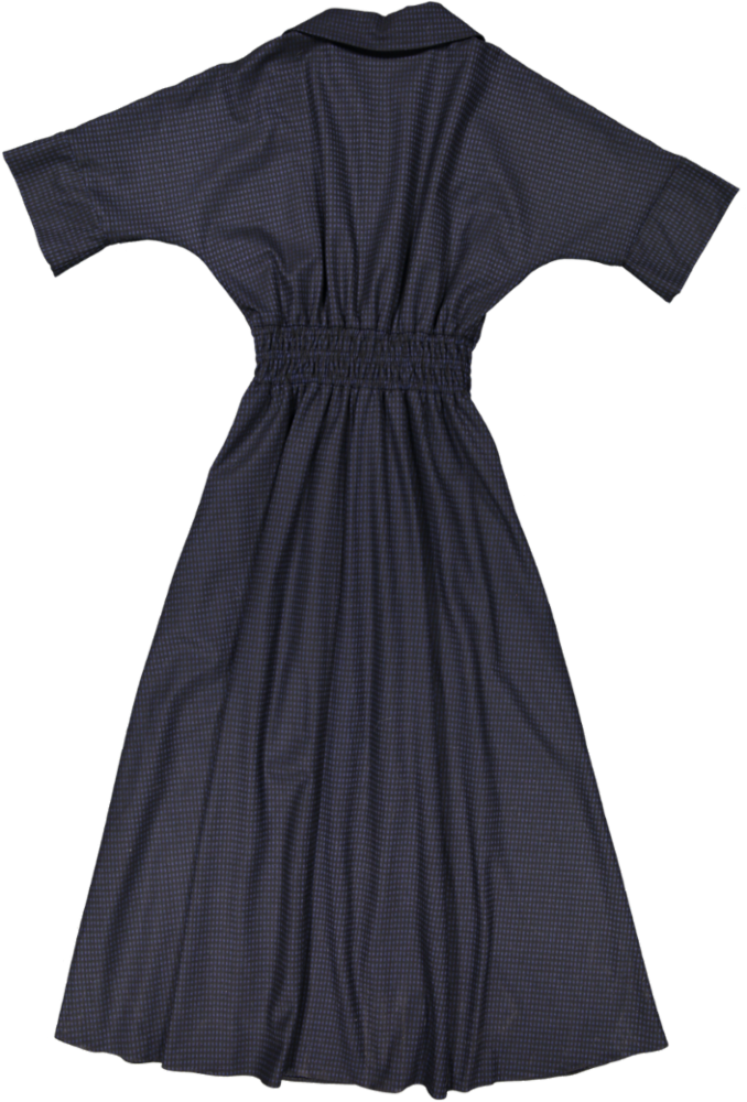 SAALES DRESS-01-Blue Checked