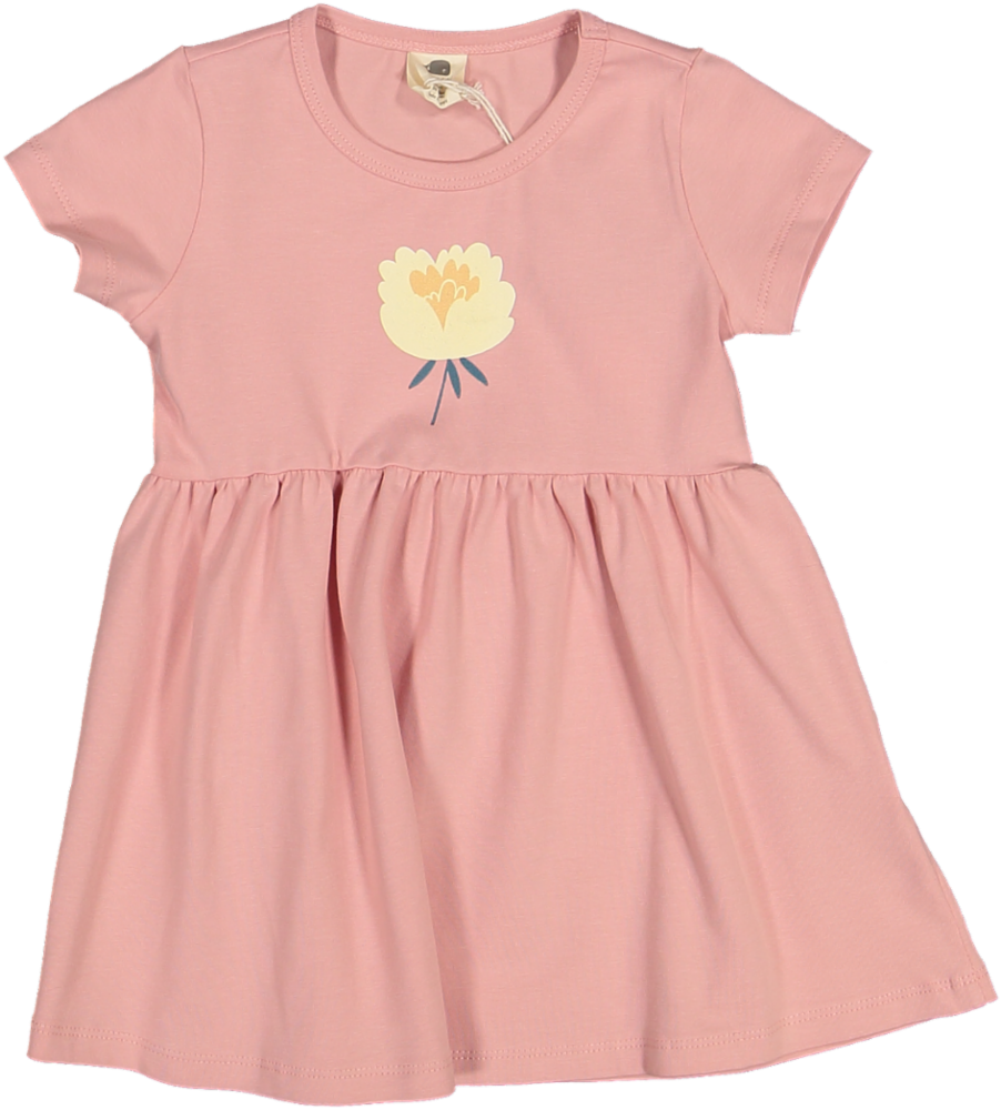 MNSP31-527-Mini Flowers - Dress